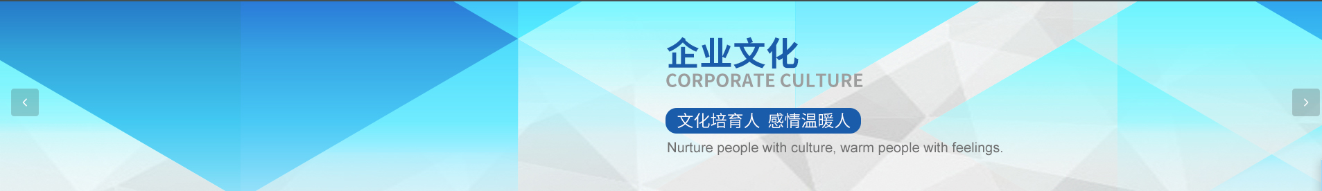 企业文化 - LED太阳能模拟器灯珠制造商
